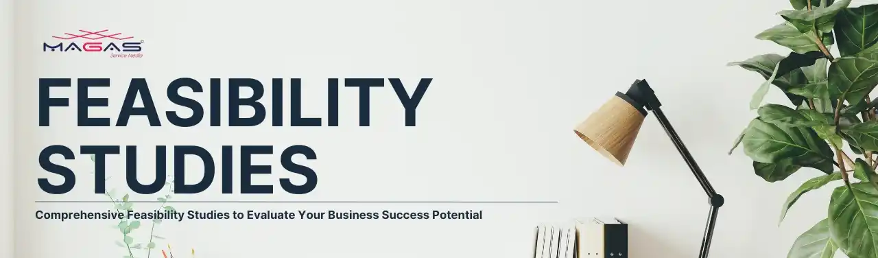 Feasibility Studies