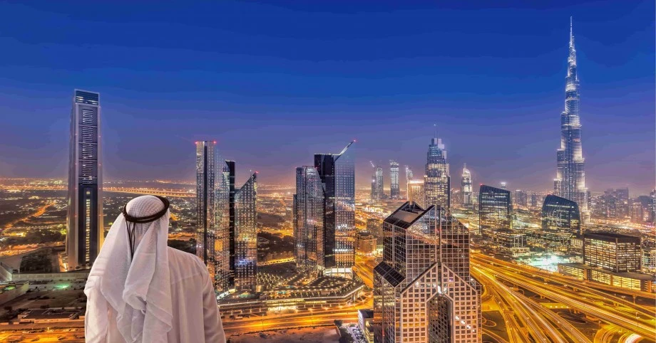 Which are the most profitable business opportunities in the UAE?