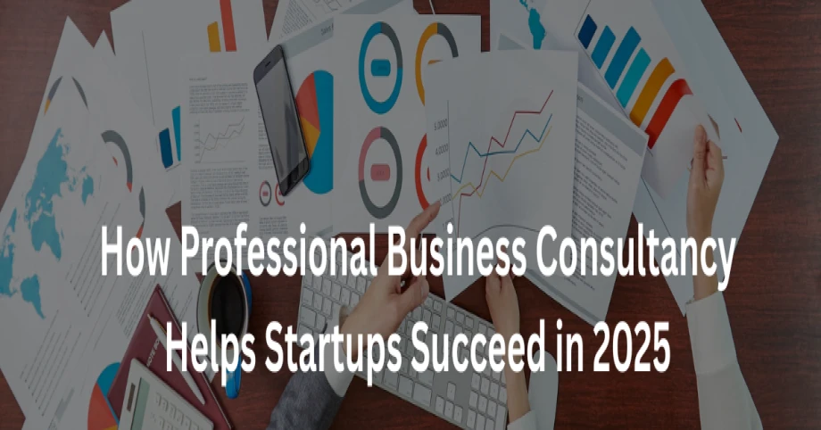 How Professional Business Consultancy Helps Startups Succeed in 2025